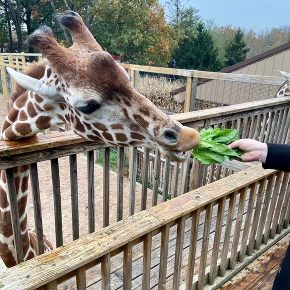 Meet Your Posher! - Picture 7 of 12